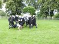 Zgrupowanie survivalowe klas mundurowych o profilu policyjno-strażackim LO w Kołaczycach