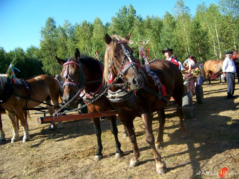 III Festiwal Kultury Ludowej w Gogołowie