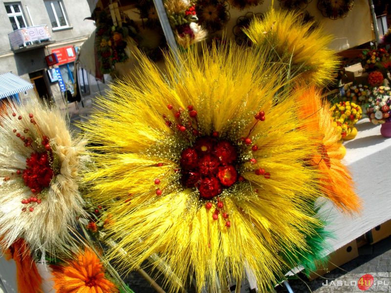 VIII Międzynarodowe Dni Wina w Jaśle