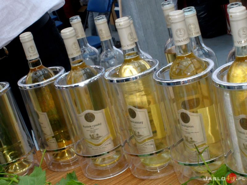 VIII Międzynarodowe Dni Wina w Jaśle