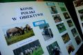 Piknik z Konikiem Polskim w Trzcinicy