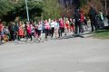 Jasielskie run and roll