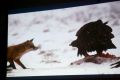 Konferencja Ekologiczna w MDK w Jaśle