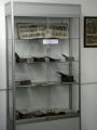 Wernisaż wystawy „Starodruki ze zbiorów Muzeum Regionalnego w Jaśle”
