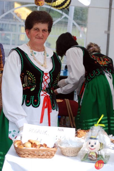 Miodobranie 2014 w Kołaczycach