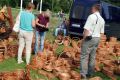 Miodobranie 2014 w Kołaczycach
