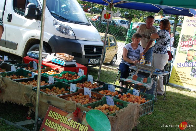 XI Międzynarodowy Festiwal Folkloru Karpat „Trzcinica 2014″