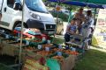 XI Międzynarodowy Festiwal Folkloru Karpat „Trzcinica 2014″