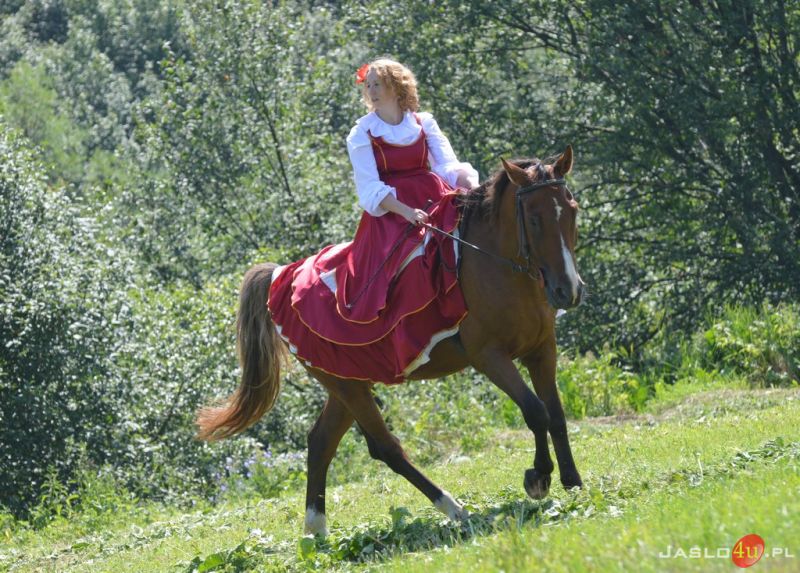 XIII Krempniańska Parada Historyczna (pokazy walk historycznych)