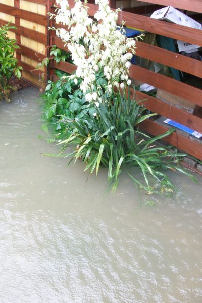 Zdjęcia nadesłane przez Czytelników. Podtopienia na terenie Jasła