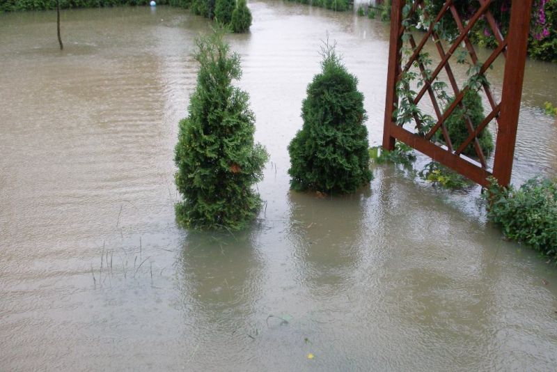 Zdjęcia nadesłane przez Czytelników. Podtopienia na terenie Jasła