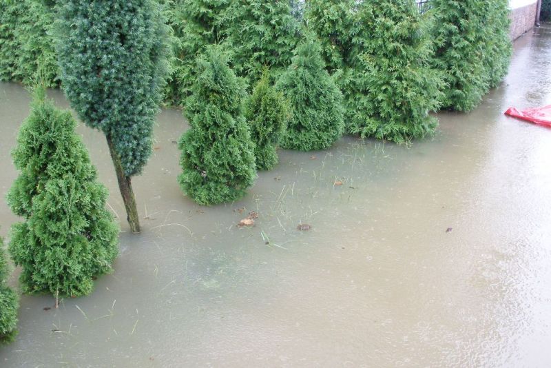 Zdjęcia nadesłane przez Czytelników. Podtopienia na terenie Jasła
