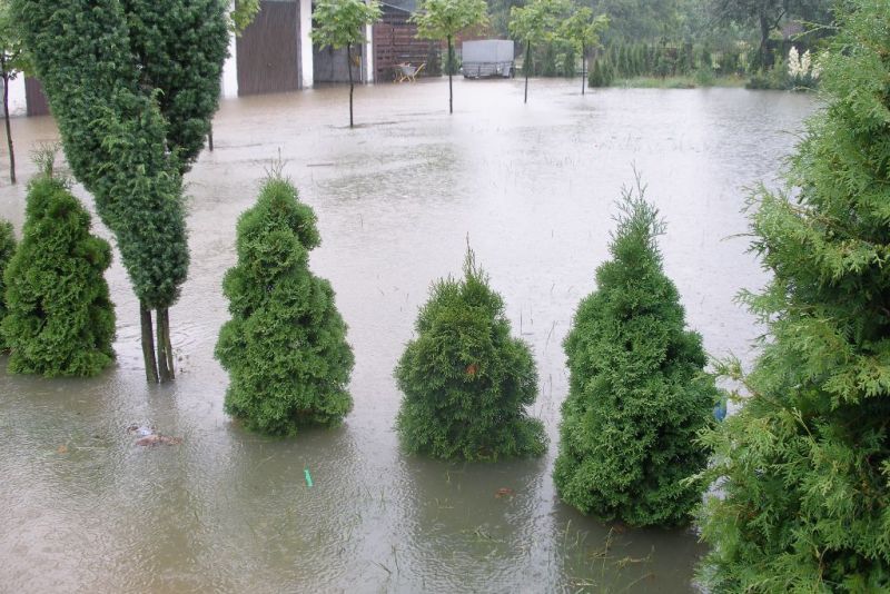 Zdjęcia nadesłane przez Czytelników. Podtopienia na terenie Jasła