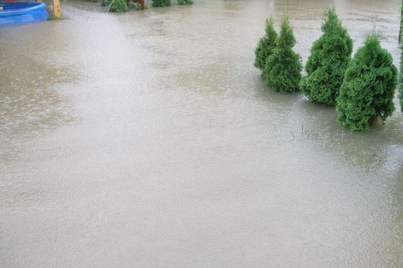 Zdjęcia nadesłane przez Czytelników. Podtopienia na terenie Jasła