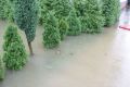 Zdjęcia nadesłane przez Czytelników. Podtopienia na terenie Jasła