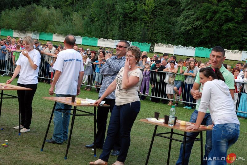 Dni Ziemi Żmigrodzkiej 2014