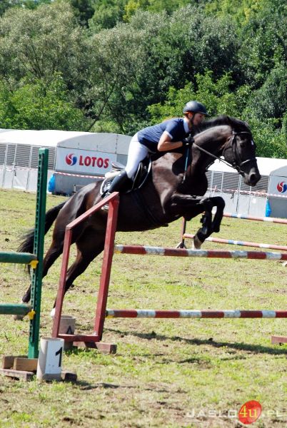 Galicyjski Turniej Jeździecki w ramach V Memoriału "Hubala"