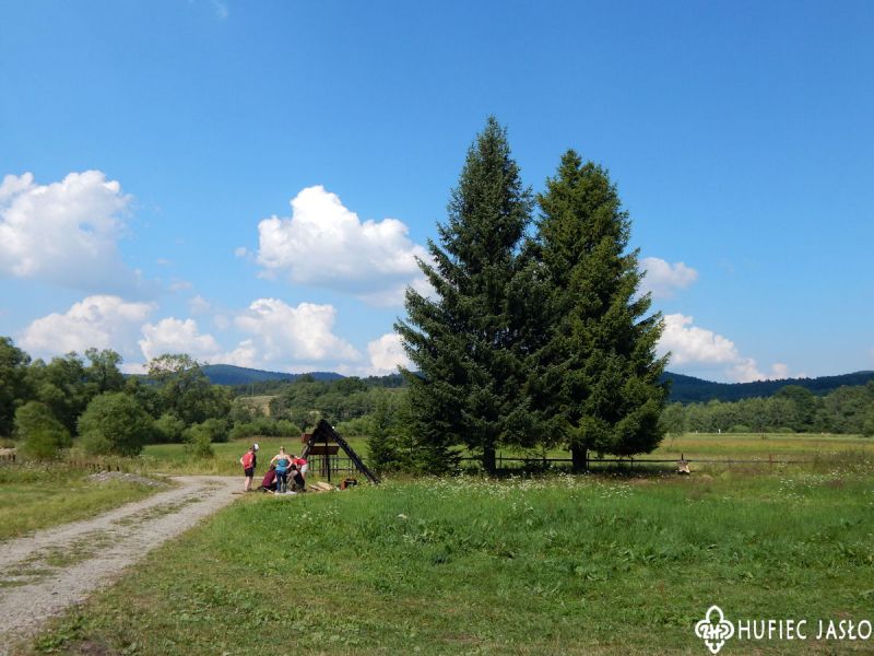 Obóz Harcerski w Woli Michowej