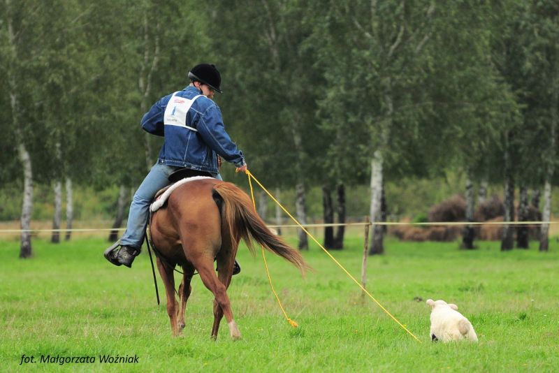 TREC PTTK w Dębowcu