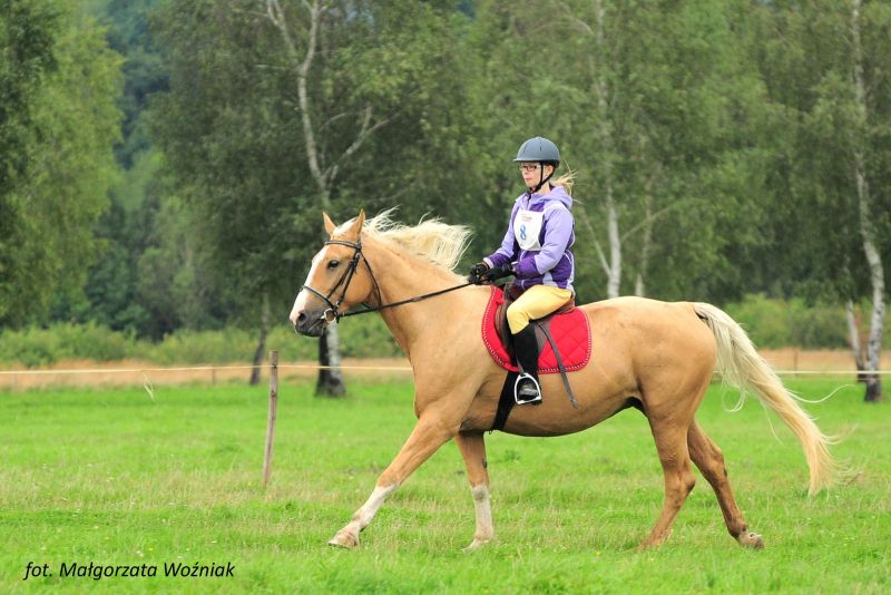 TREC PTTK w Dębowcu