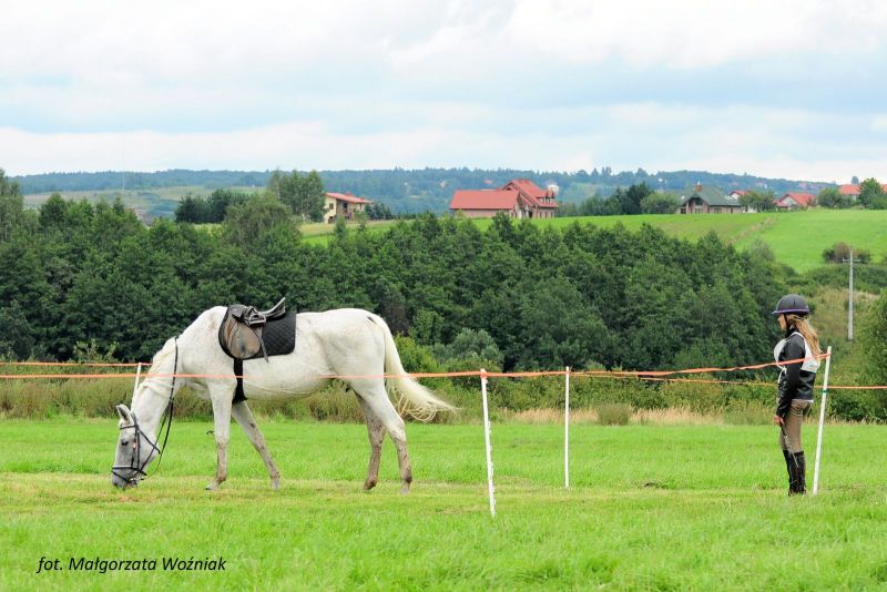 TREC PTTK w Dębowcu