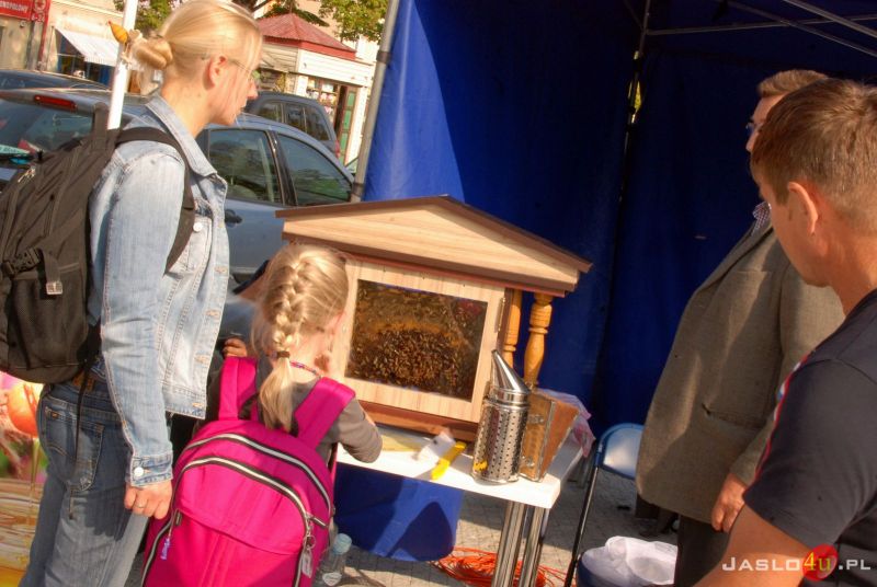 II Powiatowy Piknik Ekologiczny Eko-Raban na rynku w Jaśle