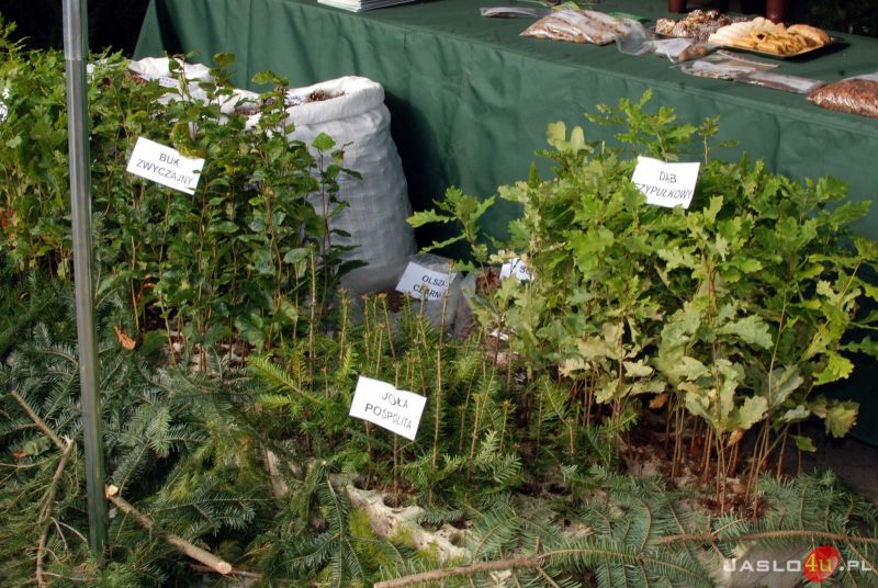 II Powiatowy Piknik Ekologiczny Eko-Raban na rynku w Jaśle
