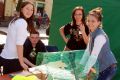 II Powiatowy Piknik Ekologiczny Eko-Raban na rynku w Jaśle