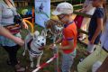 Piknik charytatywny w Harklowej