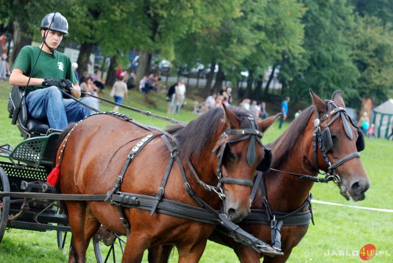 XII Piknik z Konikiem Polskim w Trzcinicy