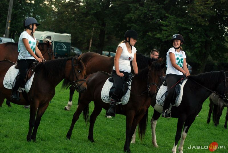 XII Piknik z Konikiem Polskim w Trzcinicy