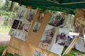 XII Piknik z Konikiem Polskim w Trzcinicy