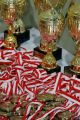 Międzynarodowy Mikołajkowy Turniej Judo 2014