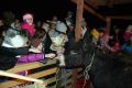 Żywa szopka i jasełka przy kościele oo. Franciszkanów