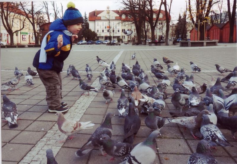 Prace wyróżnione w Międzyprzedszkolnym Konkursie Fotograficznym