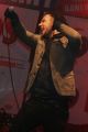 WOŚP: koncerty zespołów Sztywny Pal Azji i Kobranocka