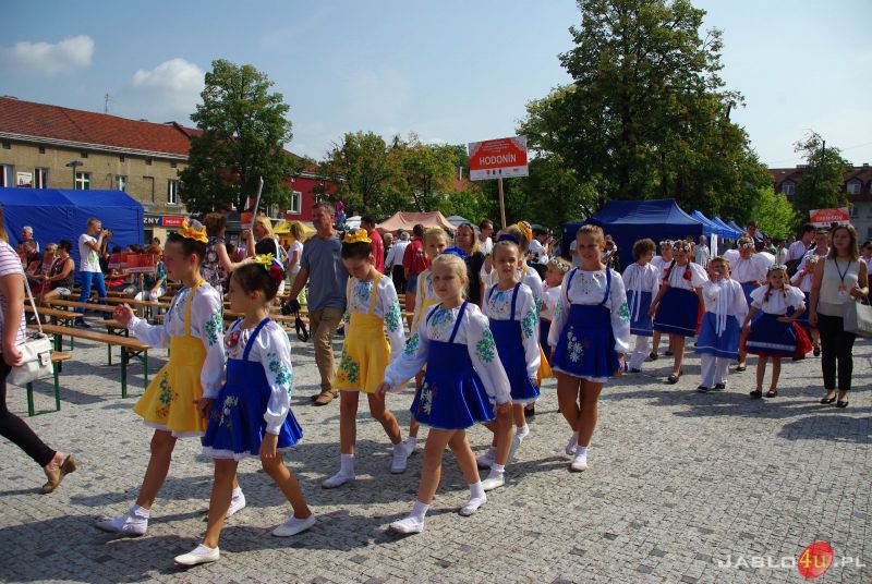 Dni Wina 2015