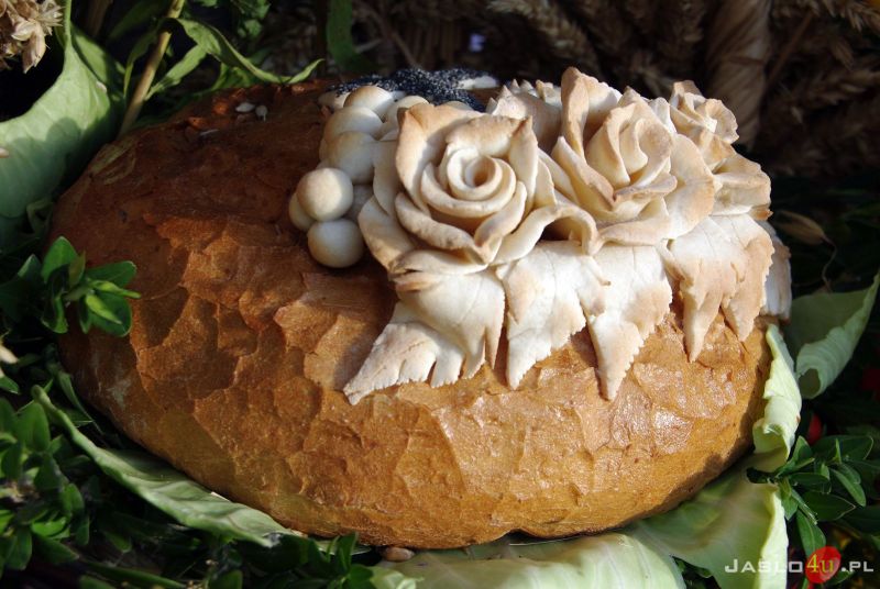 Festiwal Smaków Regionalnych "Pierogi" oraz Dożynki Powiatowe w Tarnowcu