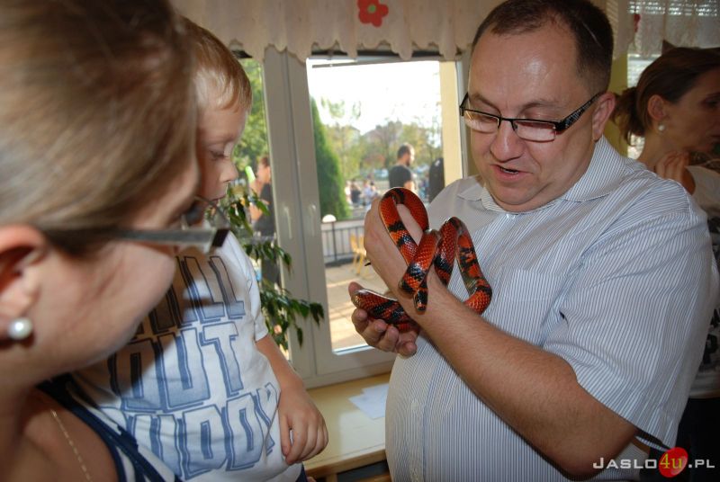 Piknik Charytatywny w Przedszkolu Miejskim nr 11