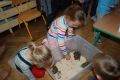 Piknik Charytatywny w Przedszkolu Miejskim nr 11