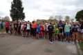 Run & Roll 2015