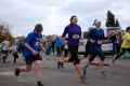 Run & Roll 2015
