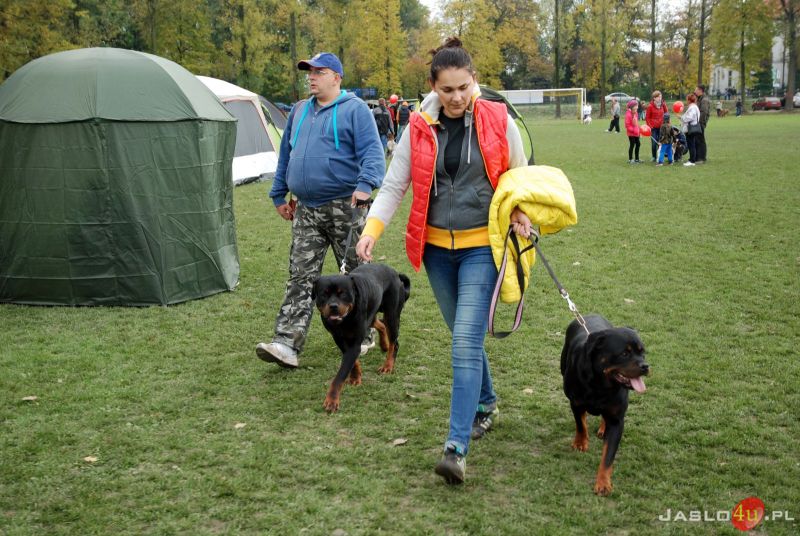 XXIV Podkarpacka Wystawa Psów Rasowych