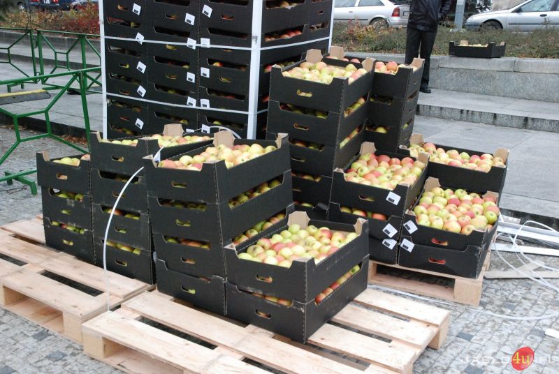 Jabłka dla mieszkańców na jasielskim rynku