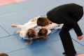 Międzynarodowy Mikołajkowy Turniej Judo w Jaśle