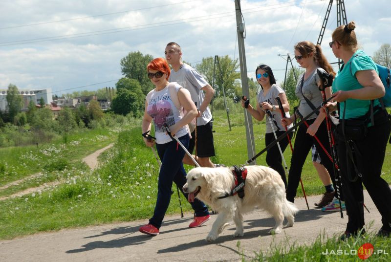 IV Ogólnopolski Marsz Nordic Walking