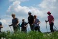 IV Ogólnopolski Marsz Nordic Walking