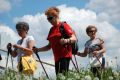 IV Ogólnopolski Marsz Nordic Walking