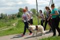 IV Ogólnopolski Marsz Nordic Walking