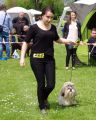 Podkarpackie Wystawy Psów Rasowych w Jaśle